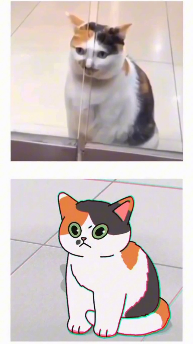 可爱喵喵