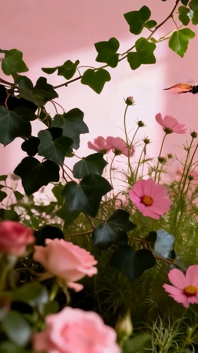 护眼花草树木蝴蝶