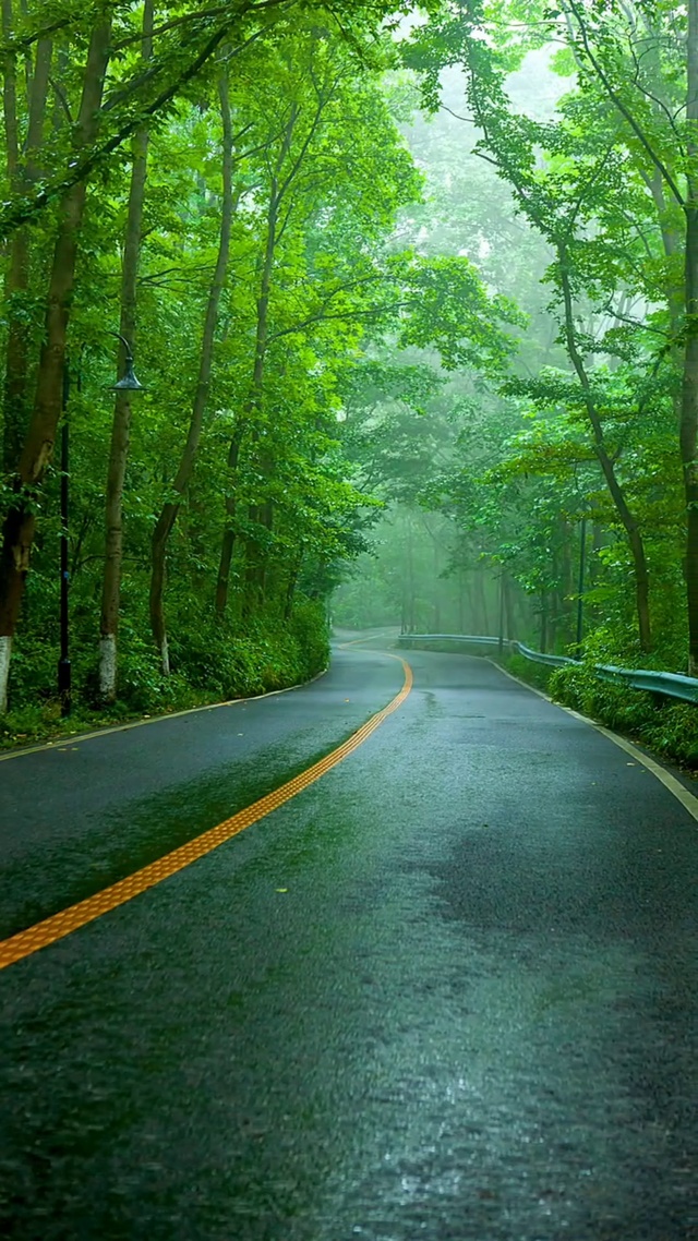 绿树成荫，小雨淅沥。深吸一口大自然的气息，沁人心脾！