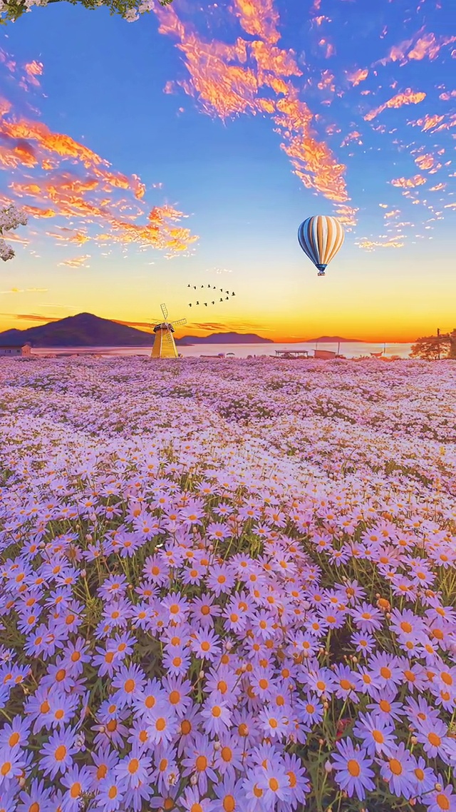 一切都是那么美好