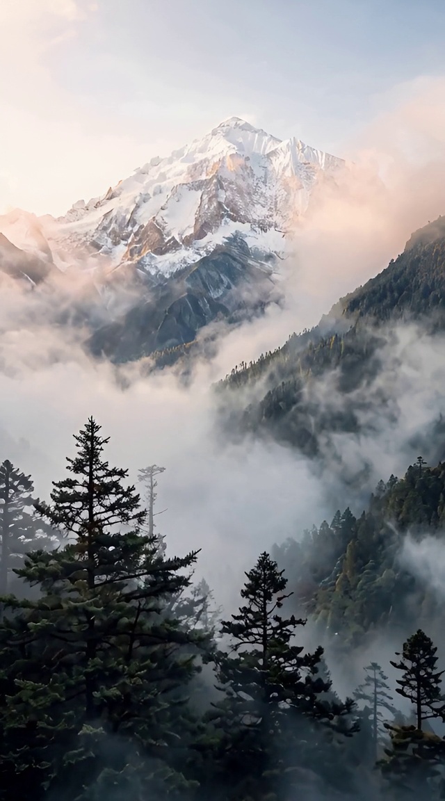 雾林雪峰晨茫