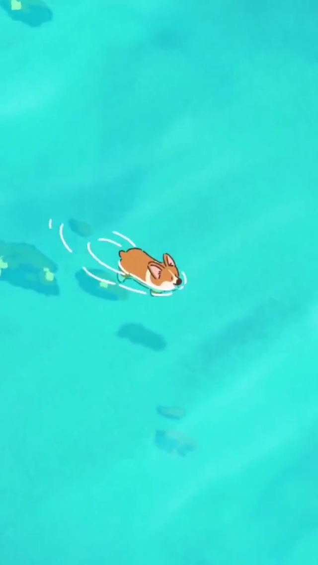犬游江河 惬意