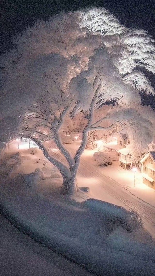 今年冬天一起看雪吧