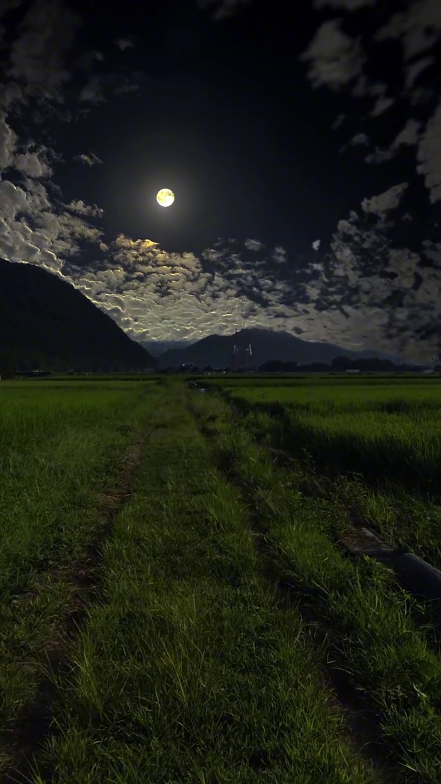 小时候家乡的夜晚