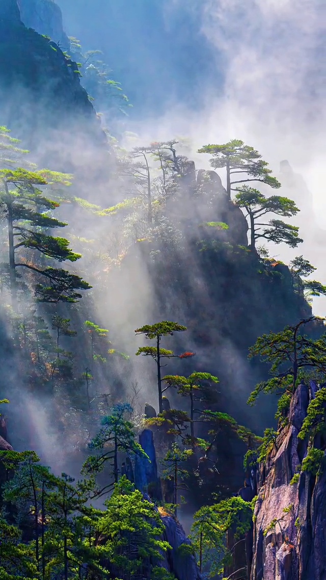 云雾缭绕的人间仙界(风景手机动态壁纸) - 风景手机壁纸下载 - 元气壁纸