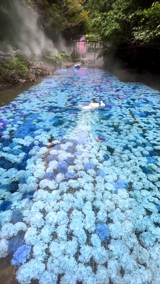 仙境