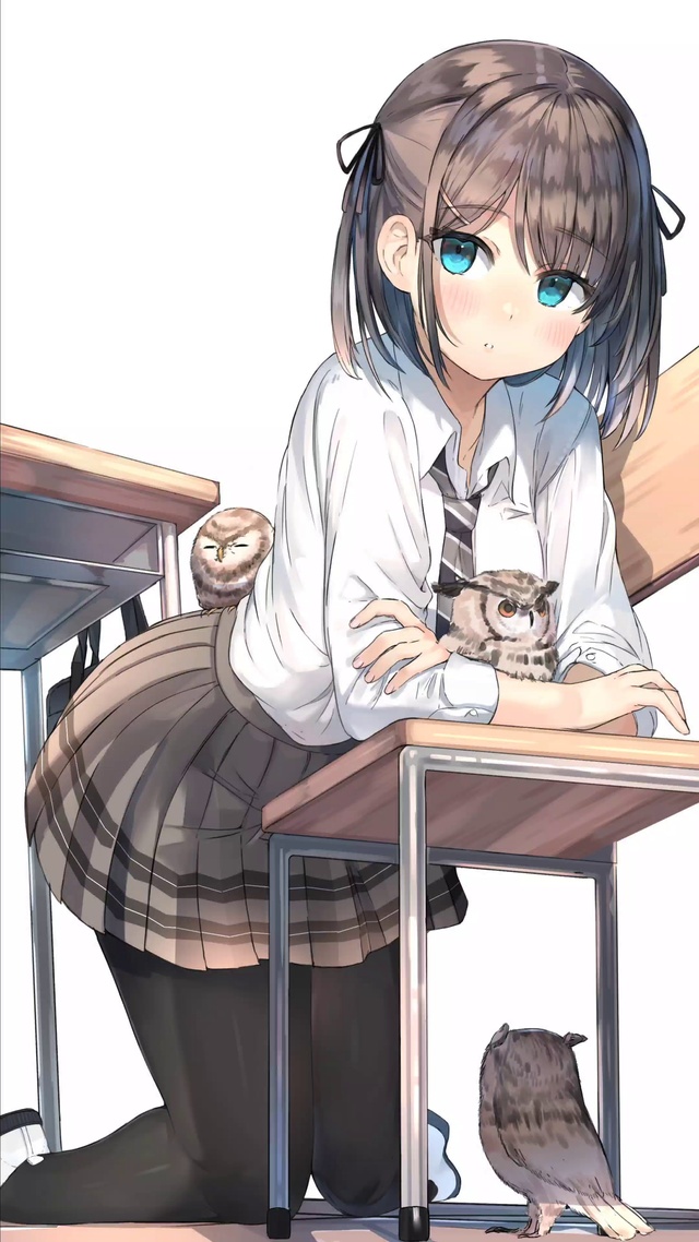 猫头鹰与女高中生4k