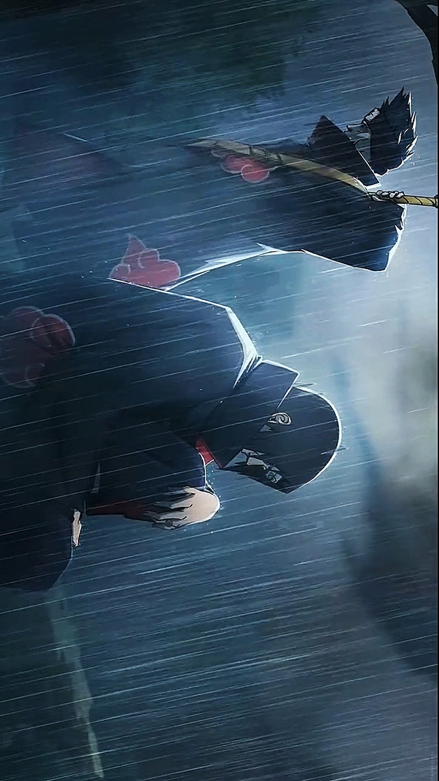 鼬