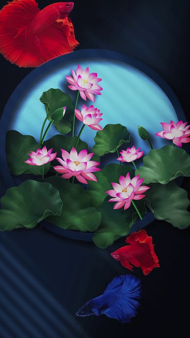 荷花
