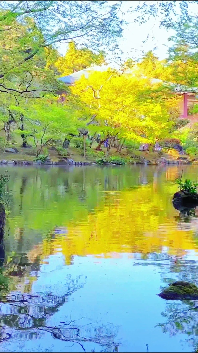 宁静治愈山间小溪 4K