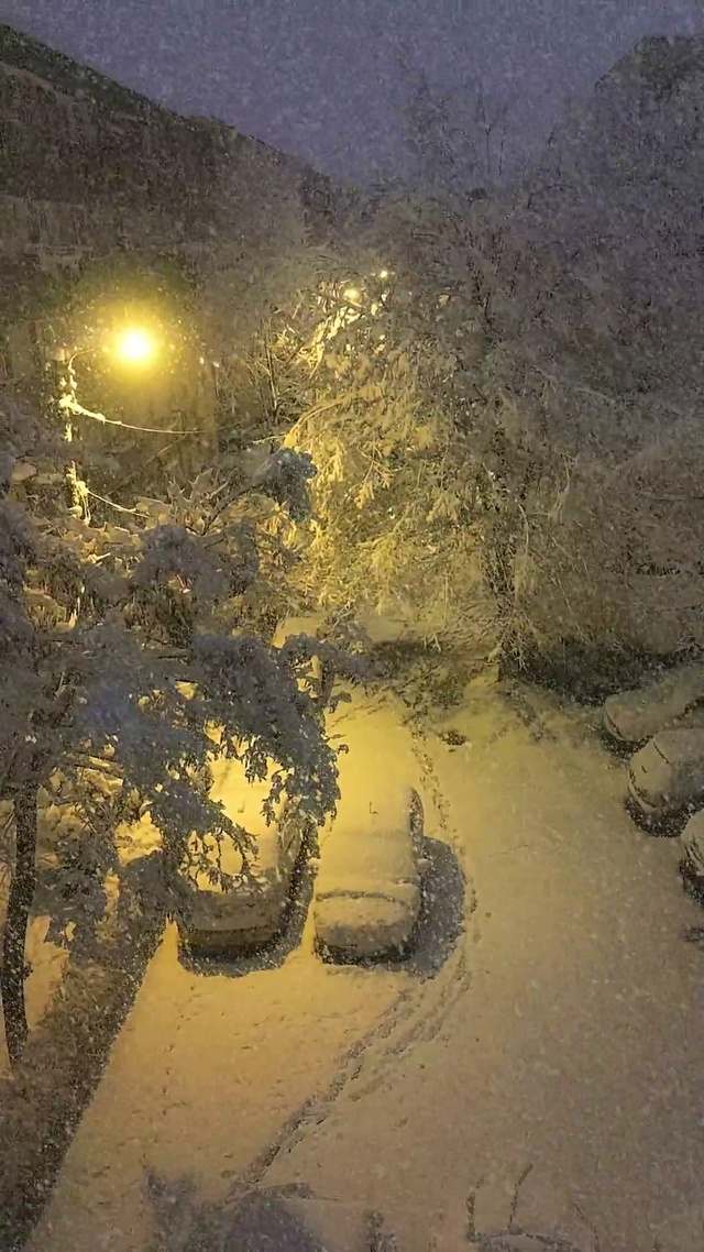 唯美下雪夜景