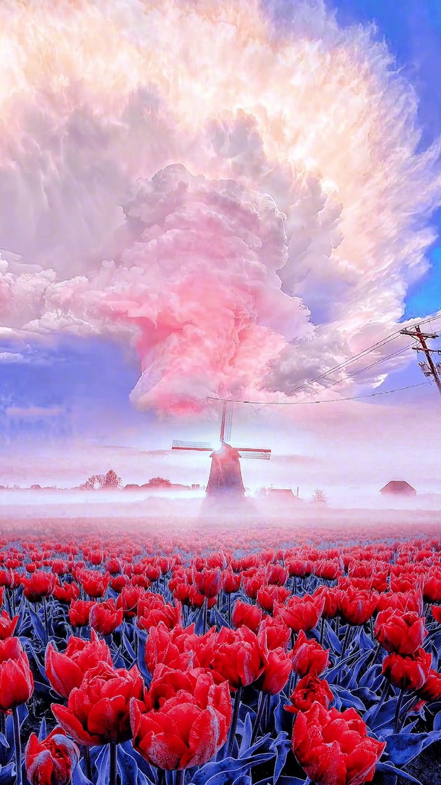 当你看到七彩幸运，说明你即将有好运