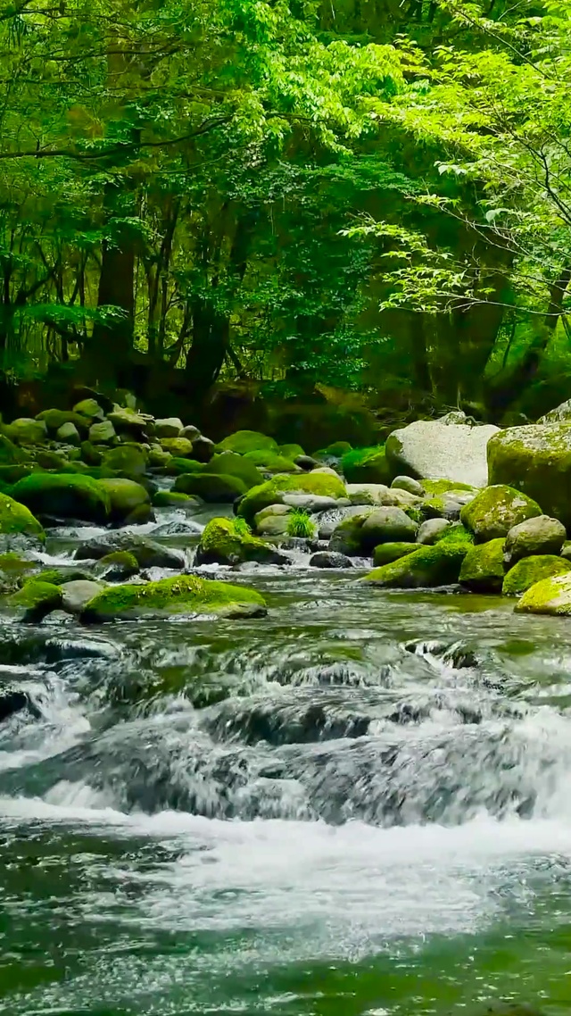 护眼绿林流水
