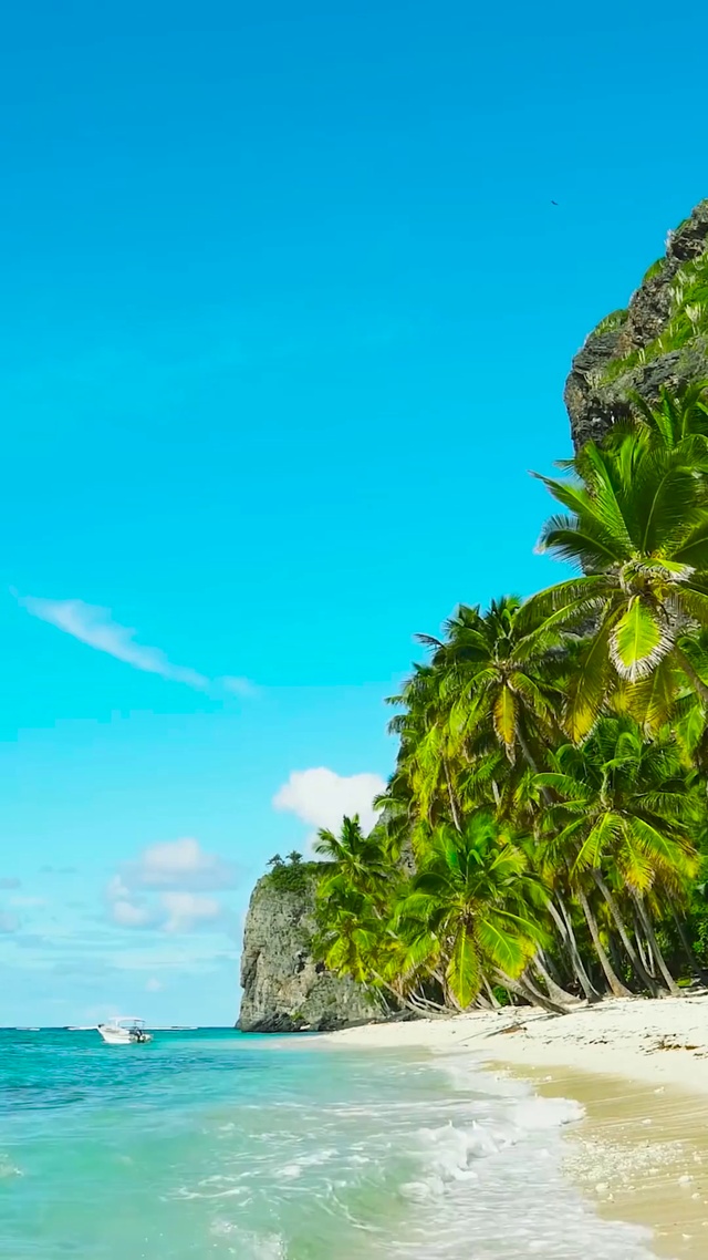 椰树海浪
