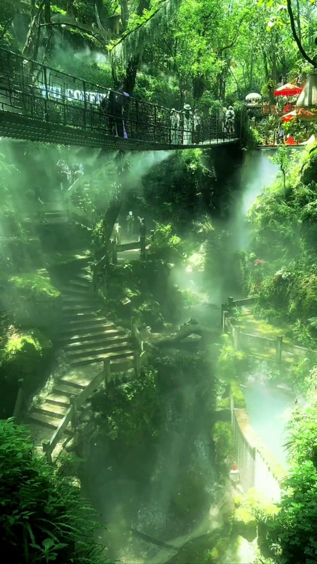 丛林仙境