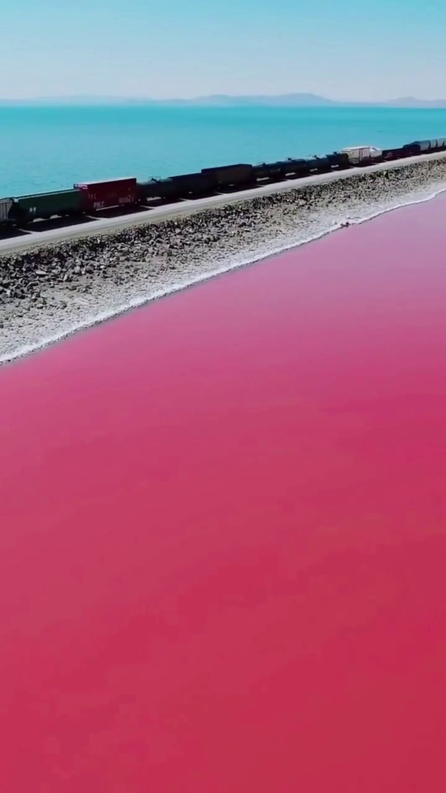 澳大利亚Cactus Beach