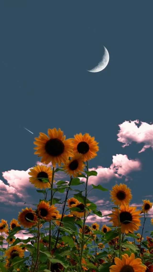 接下来的日子里，把衣服裹得严严实实的，早点睡觉，这个冬天很冷，照顾好自己。