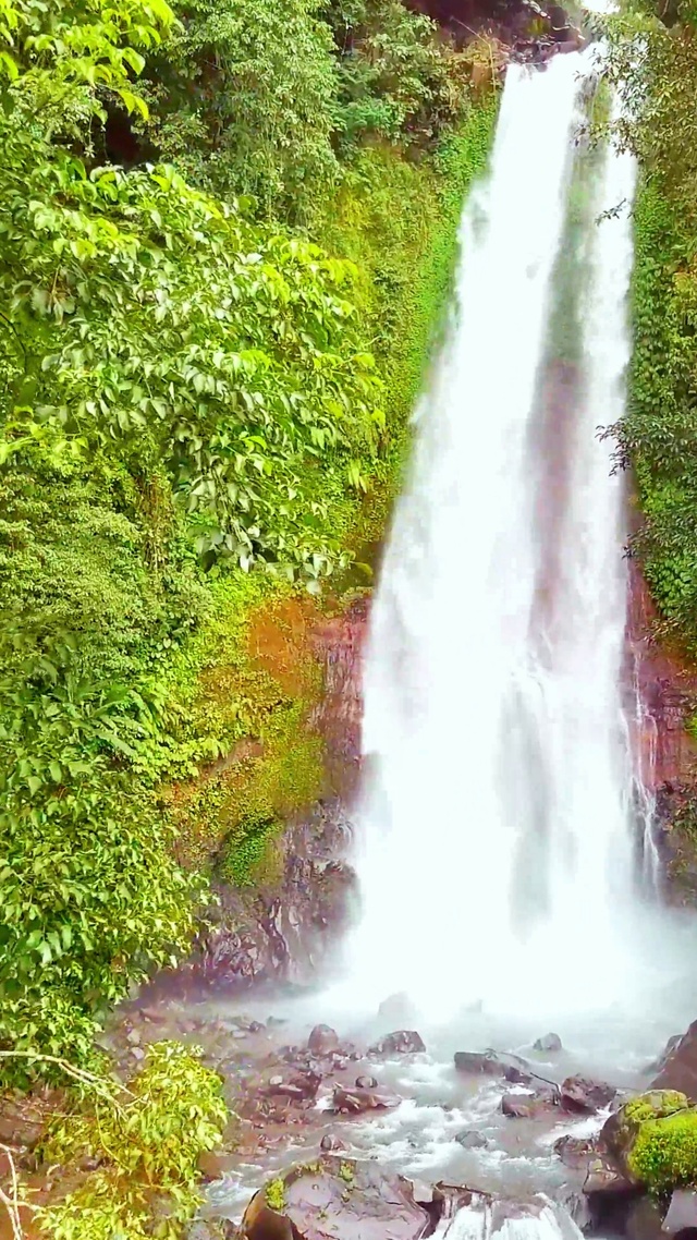 唯美护眼森林瀑布 4K