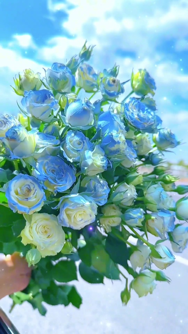 人间有趣，因为有你