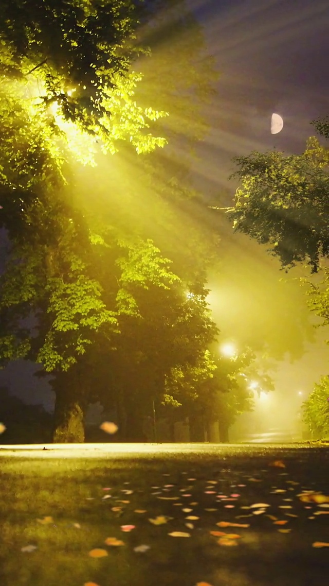 你看，一晃两三年，匆匆又秋天，，真是，岁月不堪数，故人不如初……