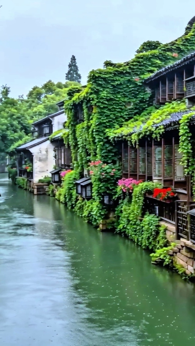唯美江南水乡4K