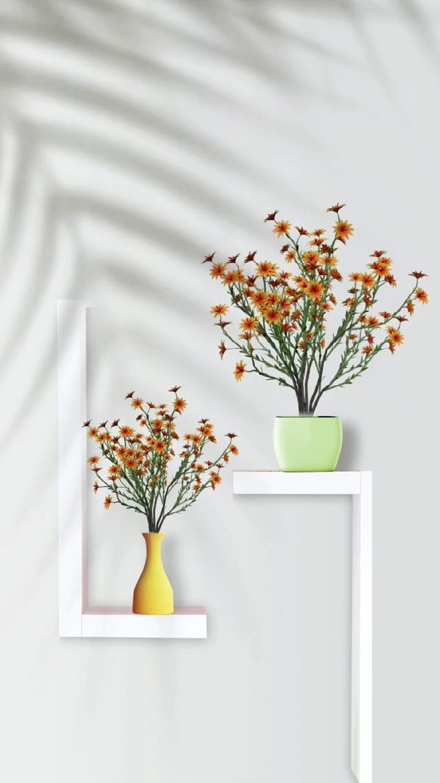看见花开