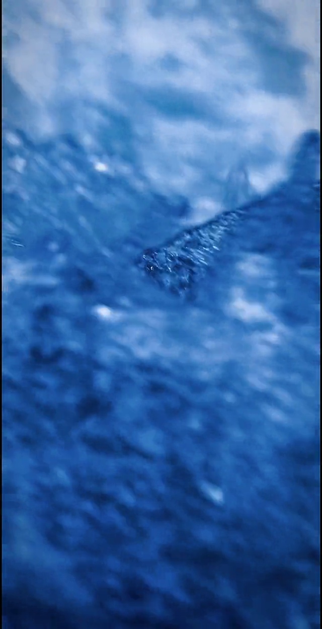 深入大海山川河流