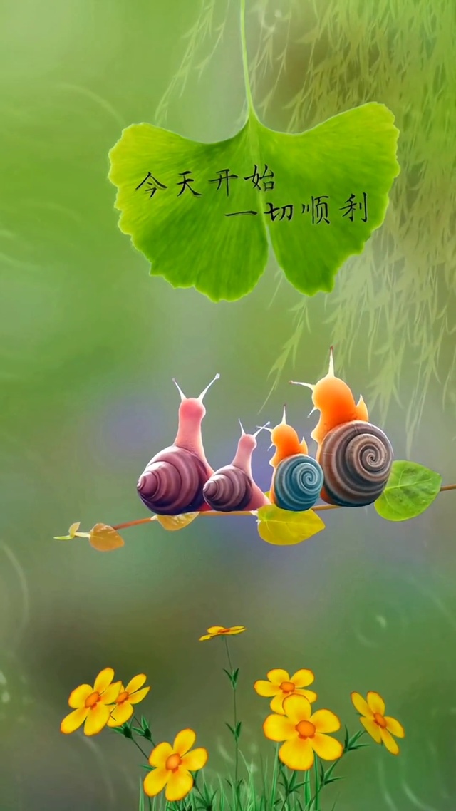 今天开始 一切顺利