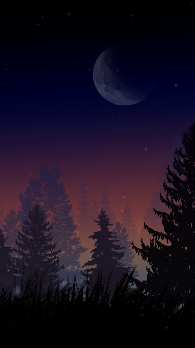 月夜