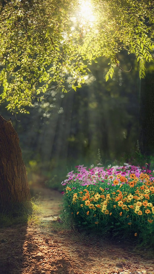 风是自由的，希望你也是。