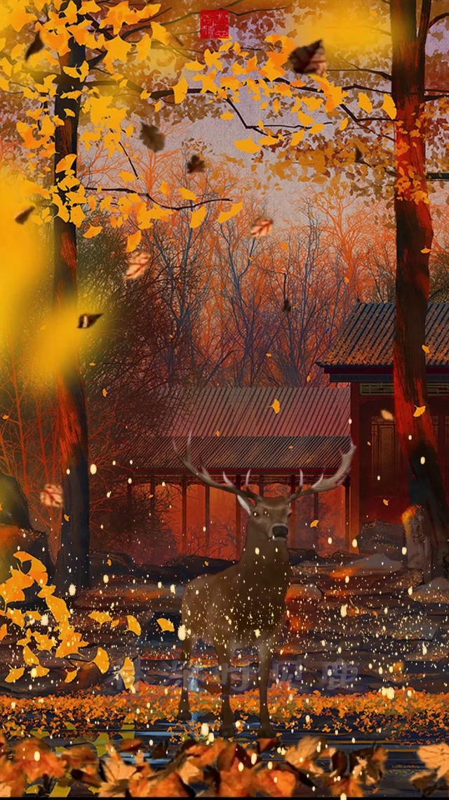 秋天梅花鹿