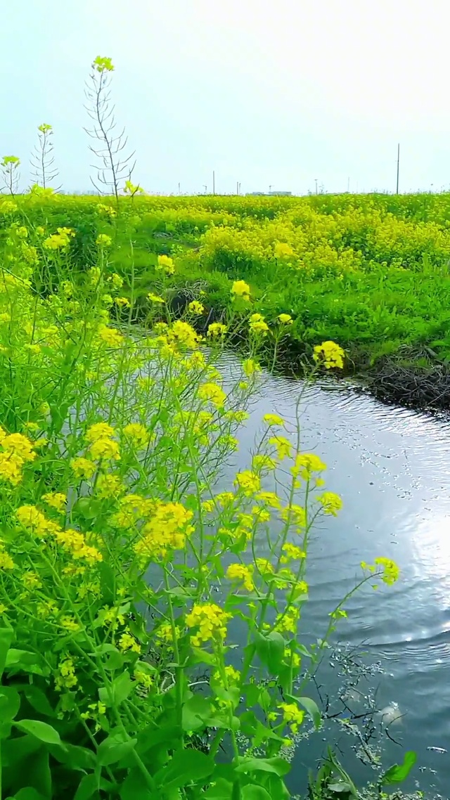 春暖花开，万物复苏