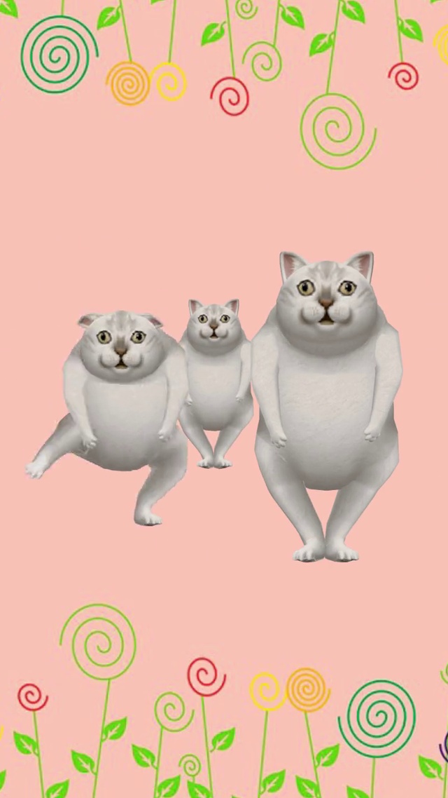 搞笑Mur猫魔性舞蹈