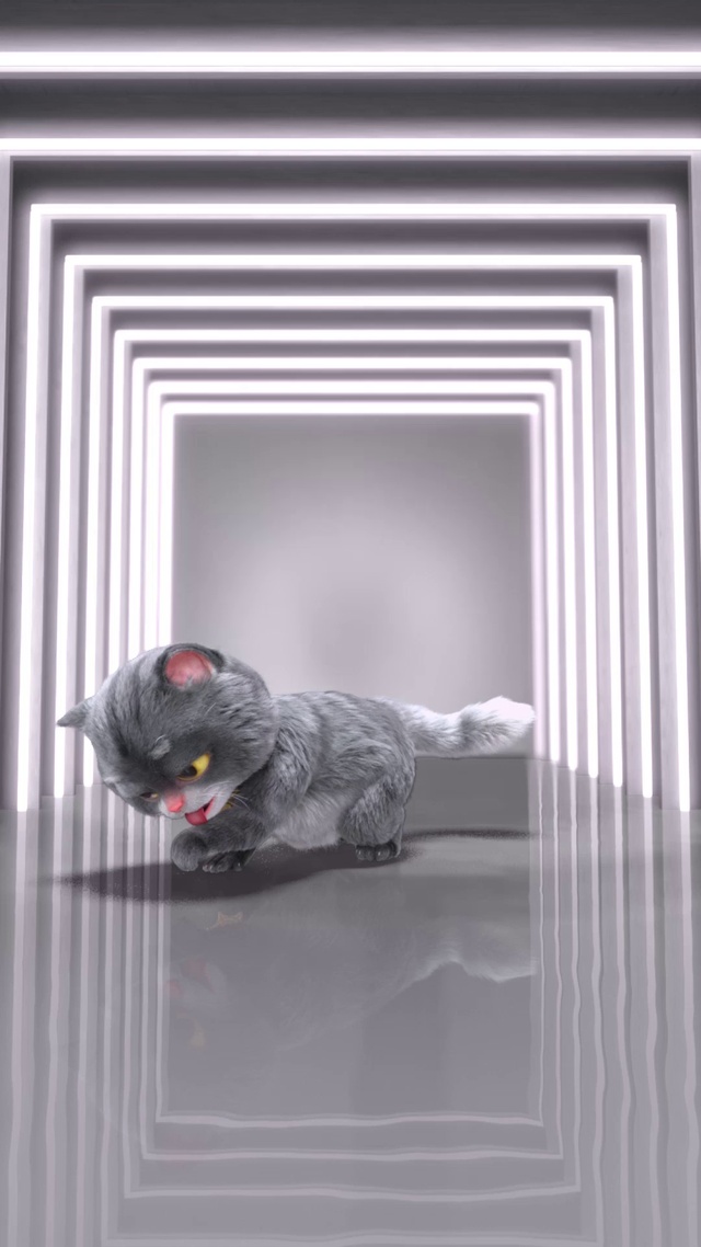 斑布猫-我怎么这么好看