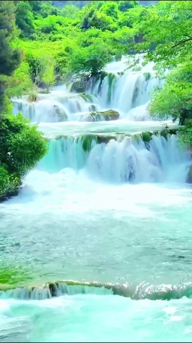 4k唯美森林瀑布