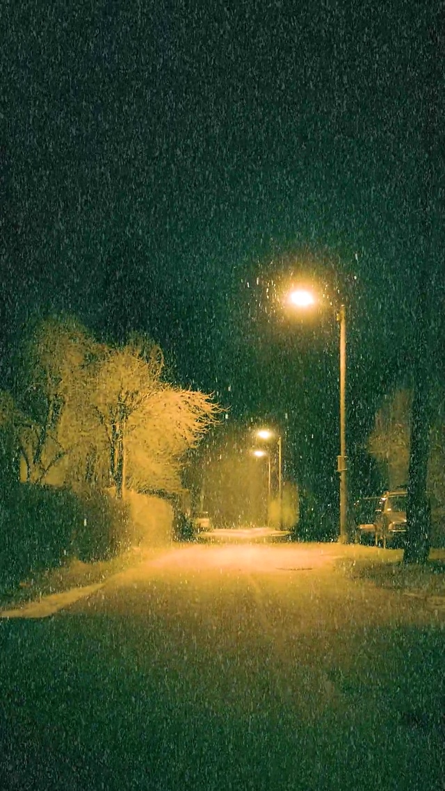 路灯下的雪
