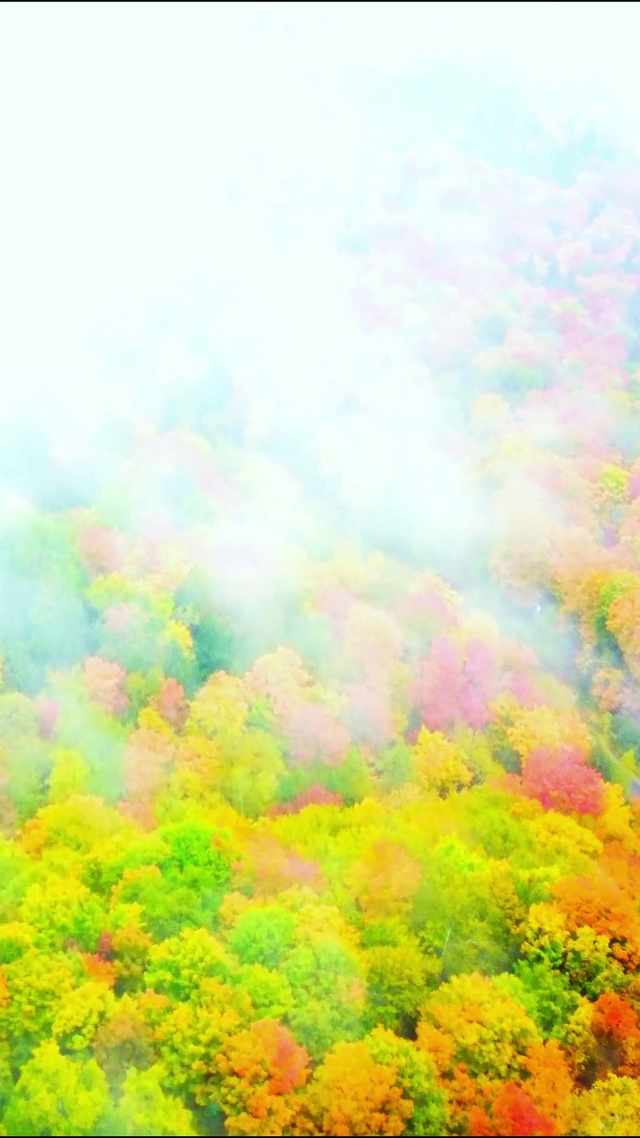 4K治愈人间仙境