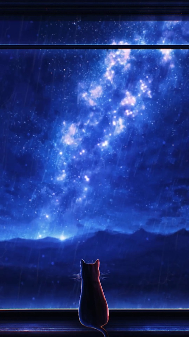 星空雨夜窗台小猫