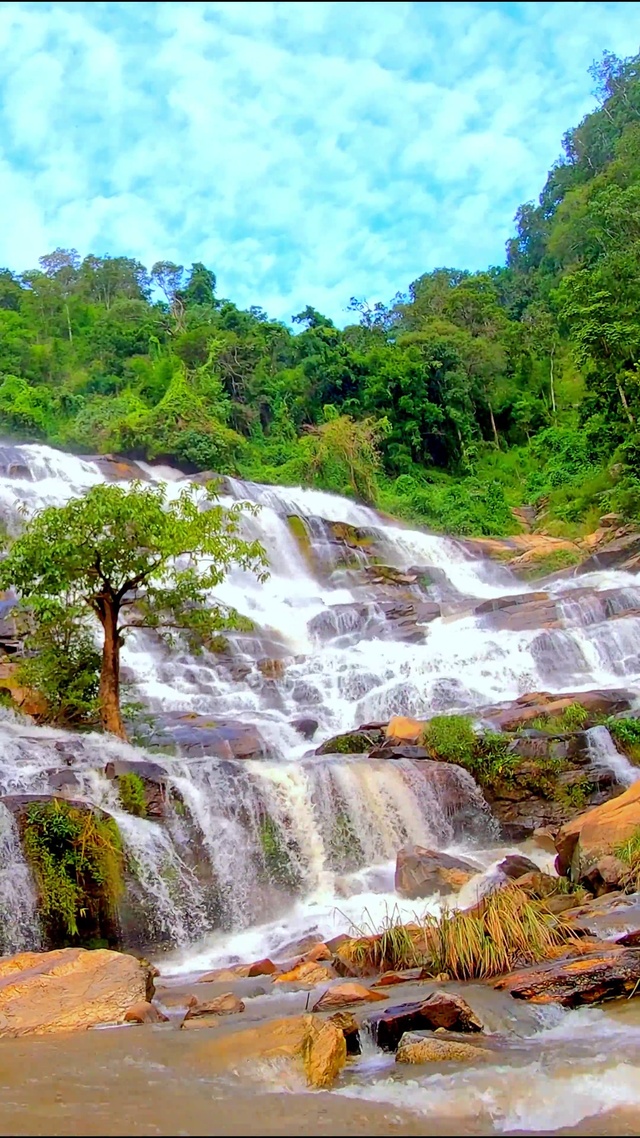 4K治愈山涧流水