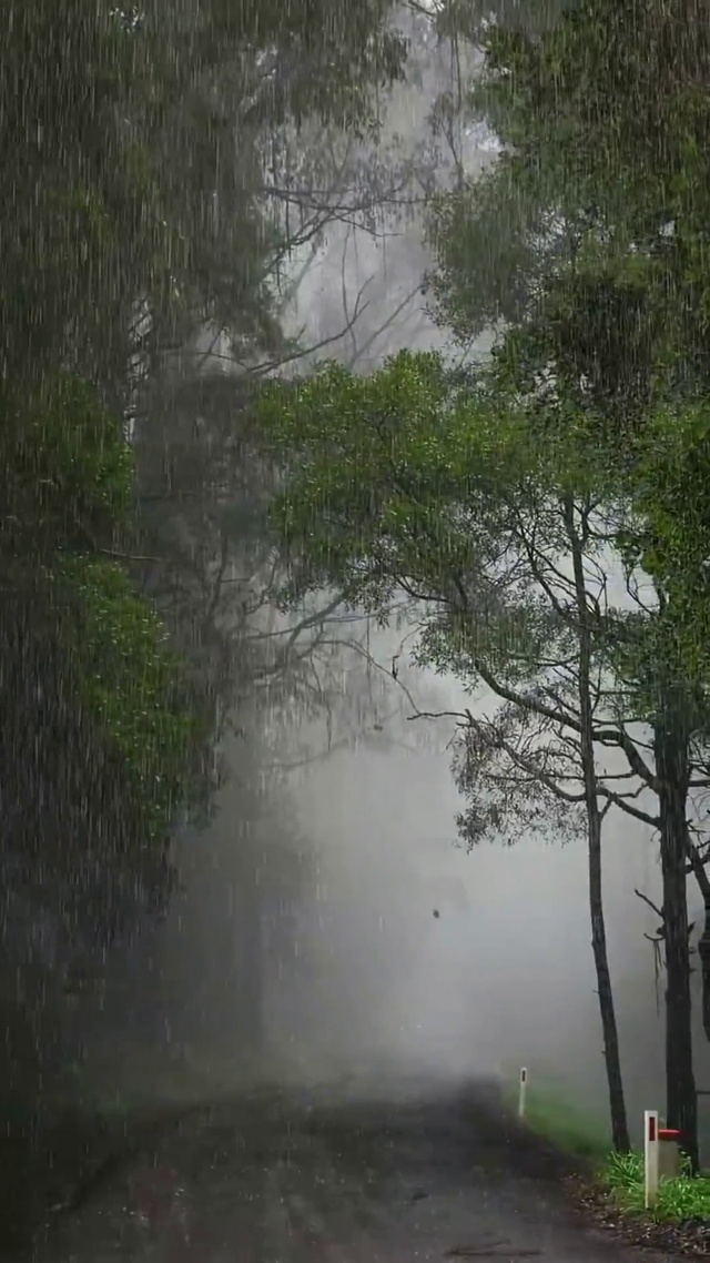 林间听细雨，山中吹晚风