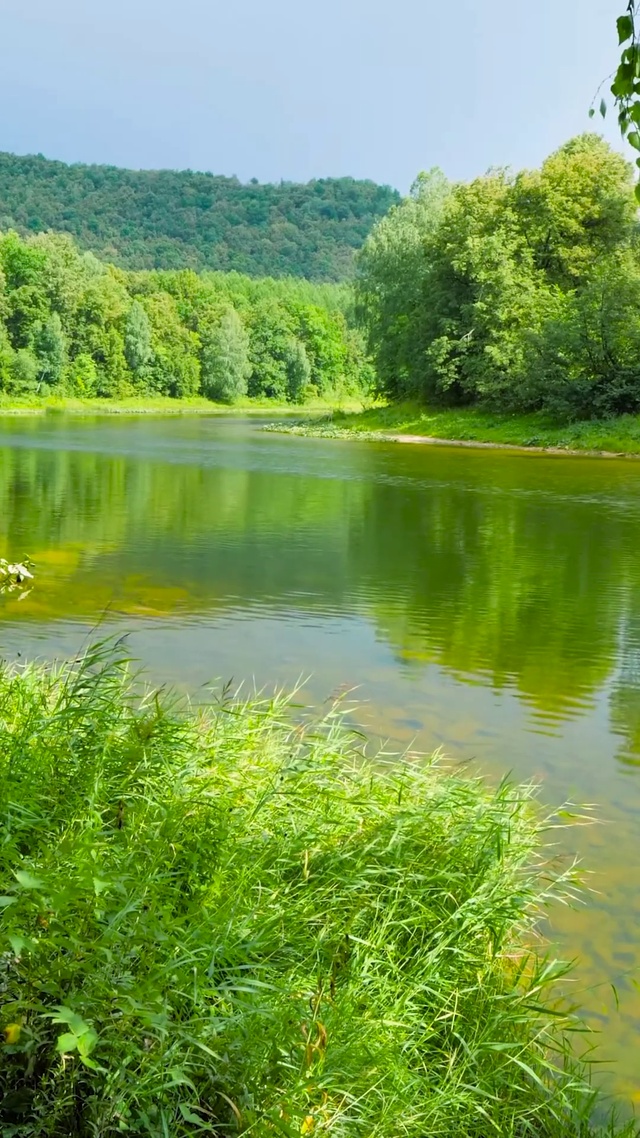 护眼绿林河流