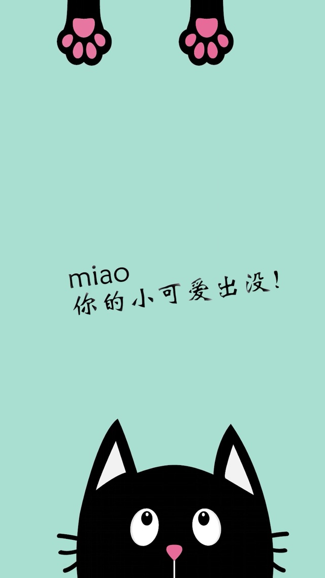 4K你的小可爱出没