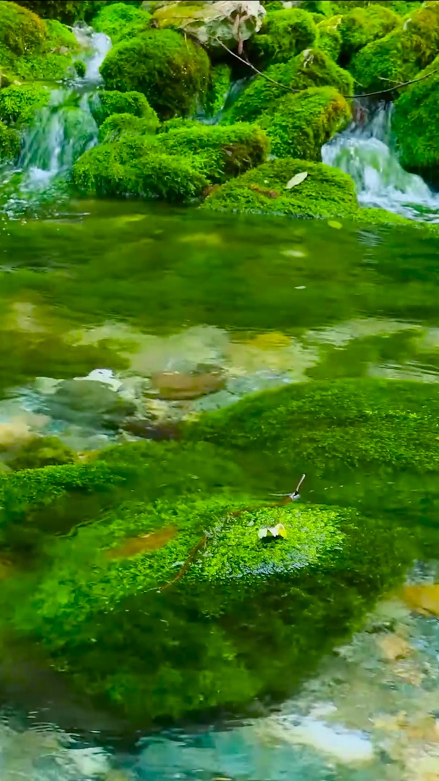 夏日清澈山泉溪流