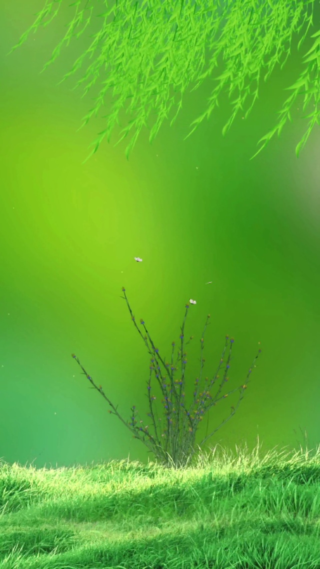 清新护眼绿｜野花