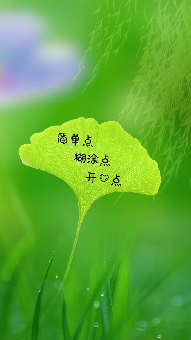 简单点 糊涂点 开心点
