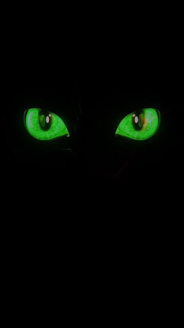 猫-眼 4k