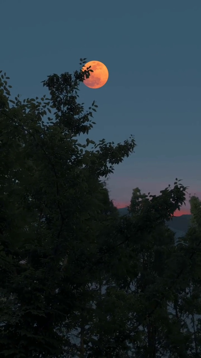 像我这样自由的风，竟会为你停留