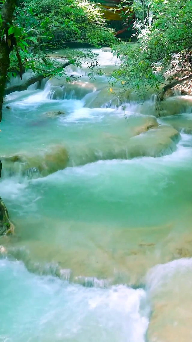 护眼林间溪流