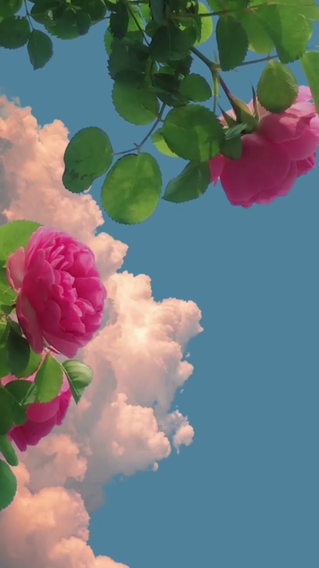 繁花似景，春暖花开