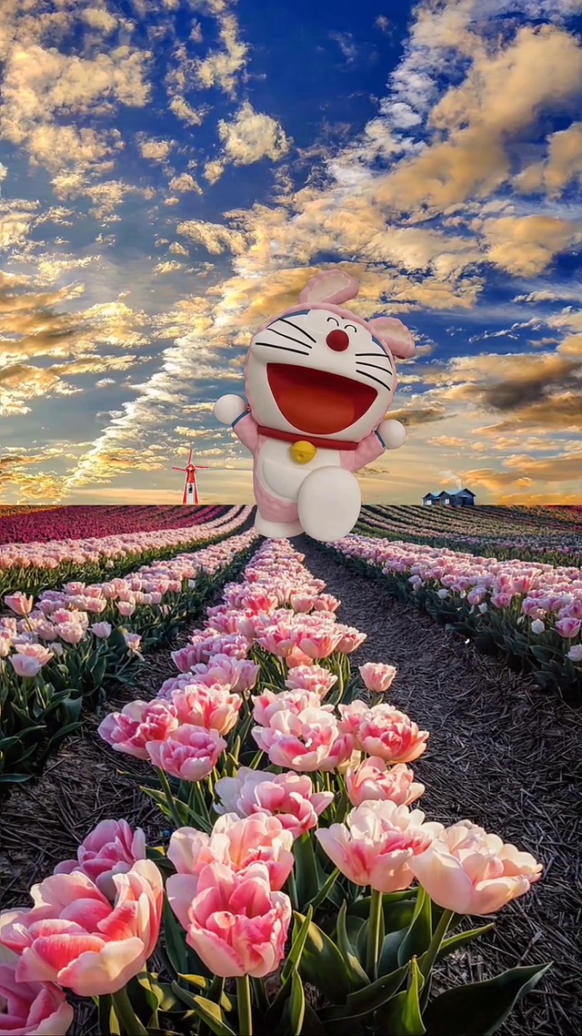 就为分享，喜欢自取